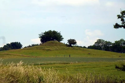 9 persone case ad Skibby