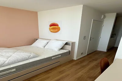 Vakantiehuis Ontspannende vakantie Mulhouse