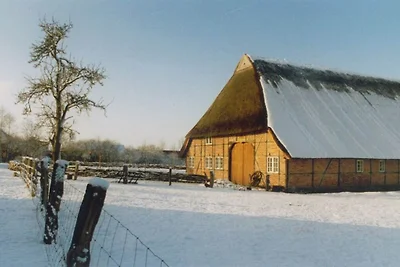 Ute von Lingelsheim