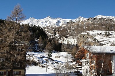 Chalet mit 2 Wohnungen von Wiesen umgeben,