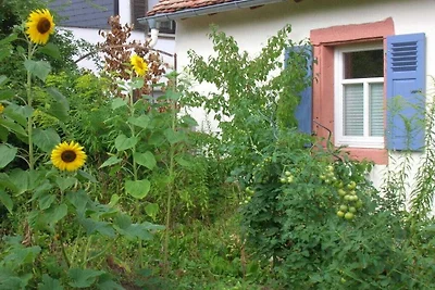 Apartament wakacyjny z 2 sypialniami