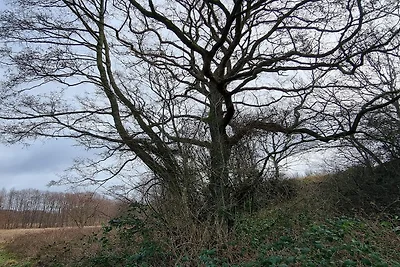 6 persoons vakantie huis in Ebeltoft-By Traum