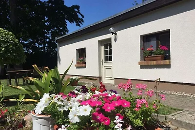 Ferienhaus in Saal mit Schwimmbecken