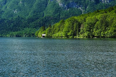Ideal apartamento en Bohinjska Bistrica con...