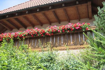 Sattler House, rookvrij