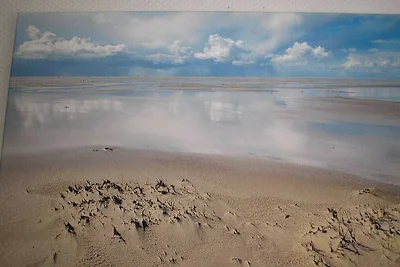 Liefke in het Seehundhuis