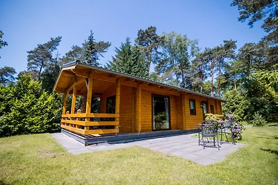 Luxe lodge voorzien van sauna en stoomcabine