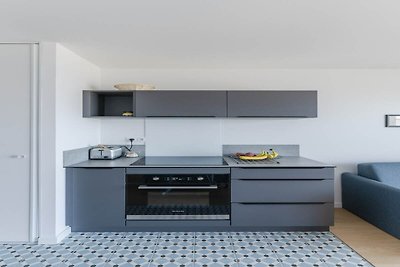 Prachtig luxe 2-kamerappartement met zeezicht