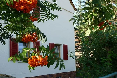 Wiete Lenk Residenza di vacanza confortevole