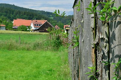 Ferienhaus in Stormbruch mit Terrasse