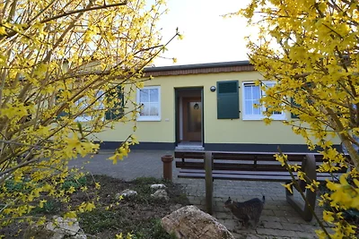 Appartamento a Mörsdorf con terrazza
