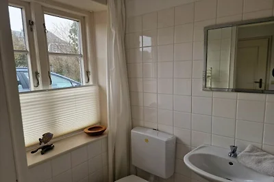 "Seepferdchen" Haus Klarinette