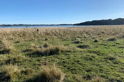 4 Sterne Ferienhaus in HENÅN