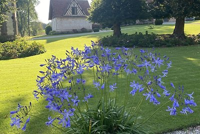 Gîte in the heart of nature for a relaxing...