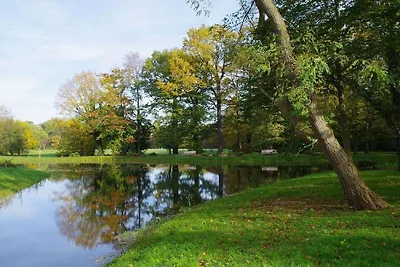 Ferienhaus Erholungsurlaub Neukieritzsch