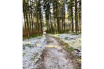 Ferienwohnung mit 3 Schlafzimmer
