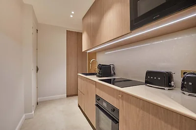 Luxuriöses, klimatisiertes Apartment Arc de...