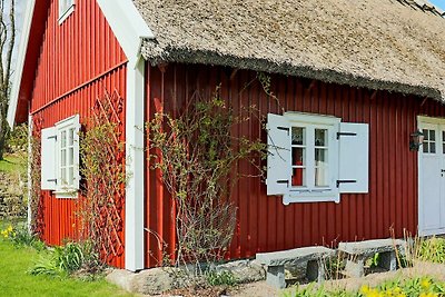 6 persoons vakantie huis in Väröbacka