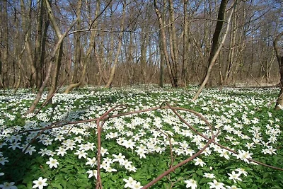 Ostseeperle in Baabe