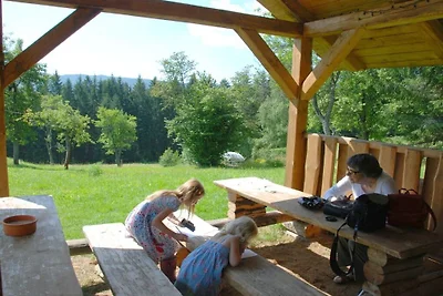 Historische Berghütte Tara