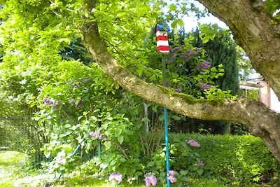 Strandnelke Rifugio moderno