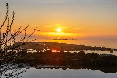 6 Personen Ferienhaus in Ørsted-By Traum