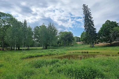 8 Personen Ferienhaus in Mörlunda-By Traum