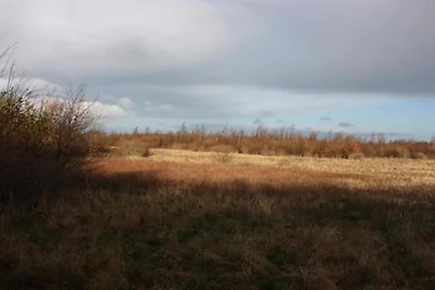 Ruhiges Kustenparadies-By Traum