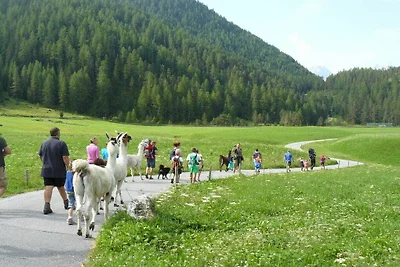 Edelweiss | Maneggio Alpine Appart