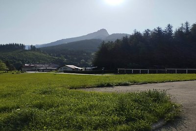 Tolle Wohnung in der Steiermark mit Balkon