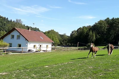 Sofia auf dem Pferdehof