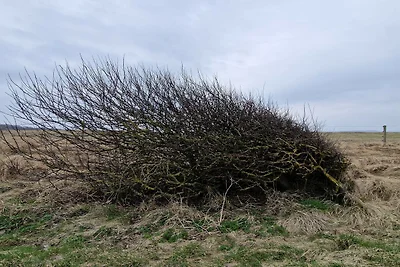 6 persoons vakantie huis in Spøttrup-By Traum