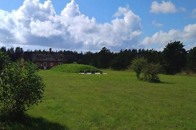 4 Sterne Ferienhaus in Ulfborg