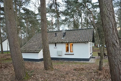 Gemütliches Ferienhaus mit Terrasse in...
