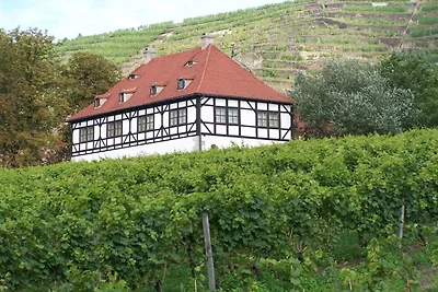 “Spitzhausblick” in Haus Felix