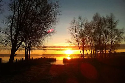 Ferienhaus in Buschvitz mit Barbecue