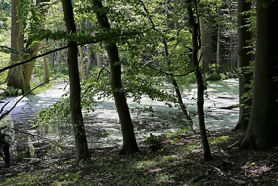 Villa de luxe avec piscine à Lohals