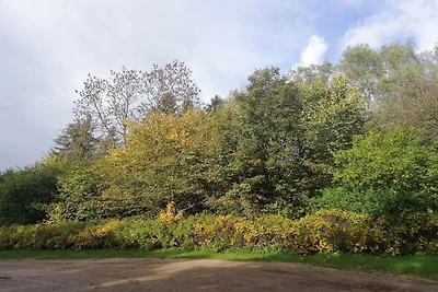 6 persoons vakantie huis in Ansager