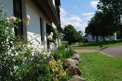 Landhuis met zwembad in Dargun