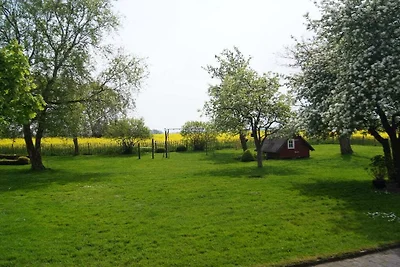 Ferienwohnung mit 1 Schlafzimmer