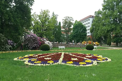 Wohnung mit Terrasse in Sachsen