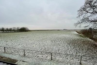 Seeblick im Ferienhaus Emma Arngast