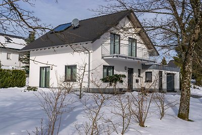 Villa met tuin bij het skigebied