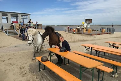 Ferienhaus mit 1 Schlafzimmer
