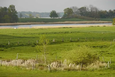 Hygge an der Schlei