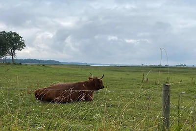 8 Personen Ferienhaus in Præstø