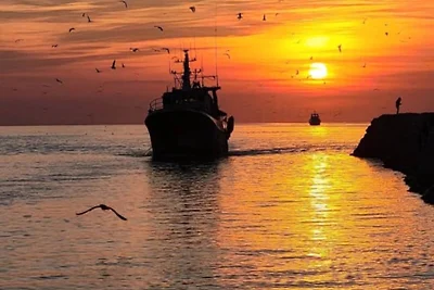 Apartments für 4 Personen