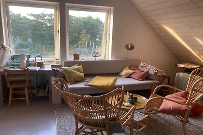 4 stelle case ad Runmarö