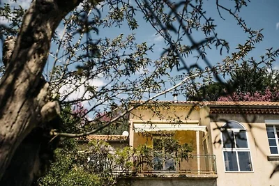 Hהuser & Villen f�r 8 Personen