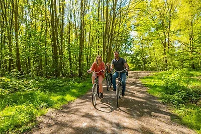 Geräumiges Glamping-Zelt für 6 Gäste